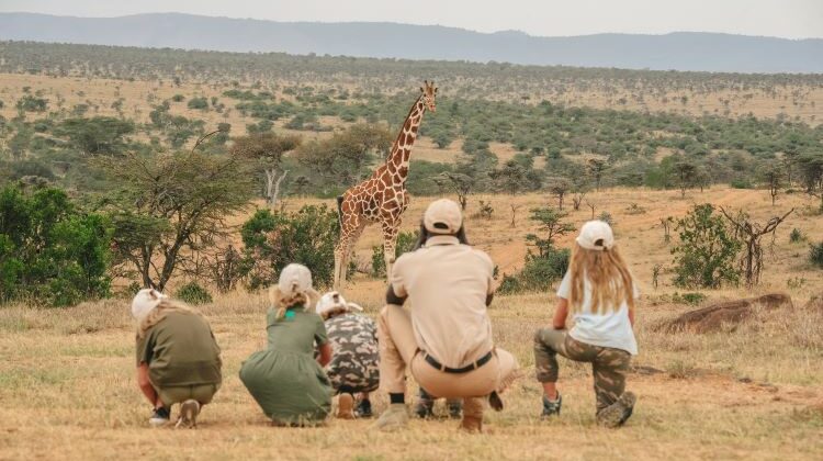 Lodge Safari