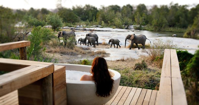 Walking Safari