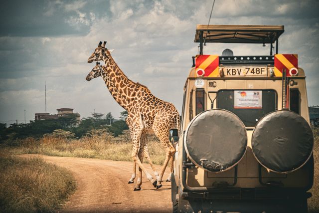 Is It Safe to Travel in Africa?