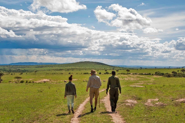 Walking Safari