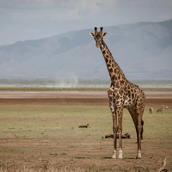 lake-manyara-national-park-2 (1)