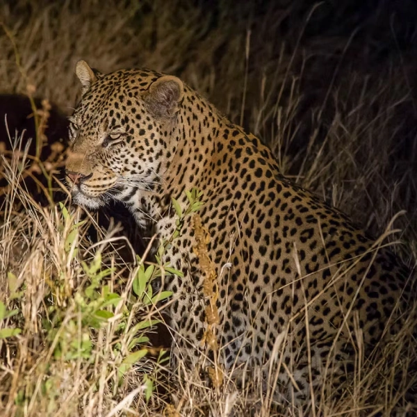 tarangire-national-park-4 (2)